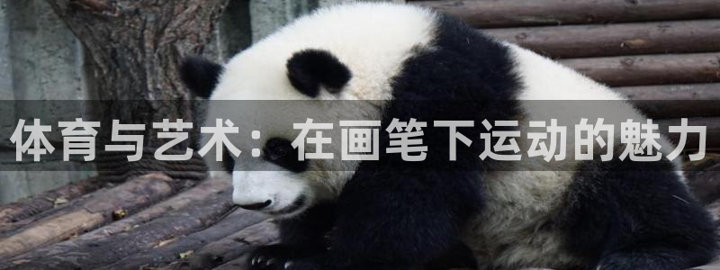 欧亿体育官方正版app科技:体育与艺术:在画笔下运动的魅力